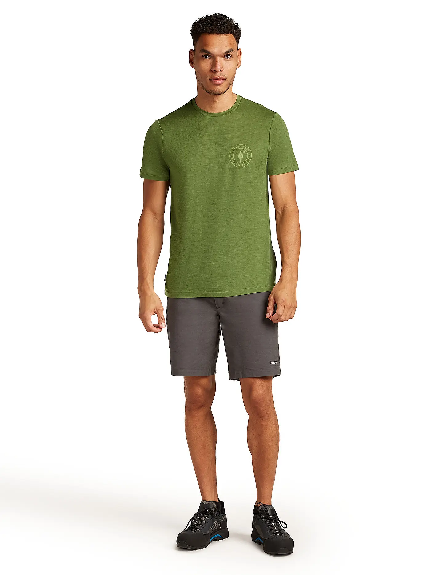 ICEBREAKER | Herren Funktionsshirt Hike 150 Tech | 